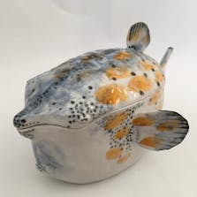 ふくはこ テングハコフグ